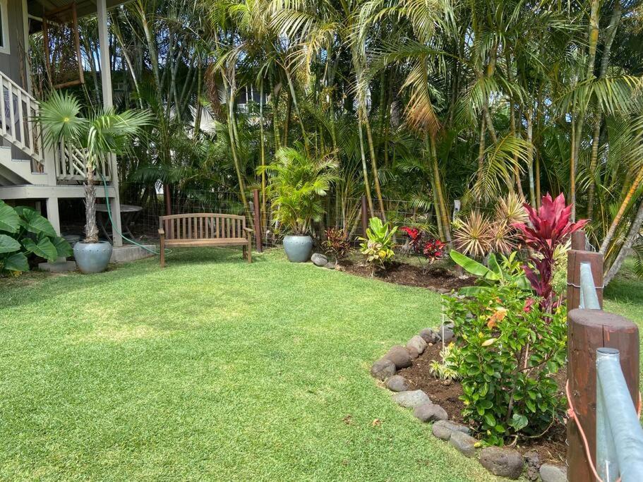 Private Ohana On The Lush Hamakua Coast With Ac Honokaa エクステリア 写真