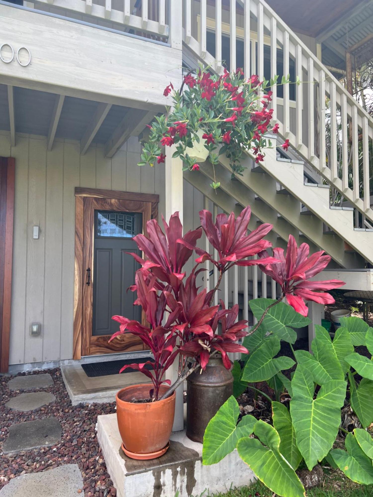Private Ohana On The Lush Hamakua Coast With Ac Honokaa エクステリア 写真